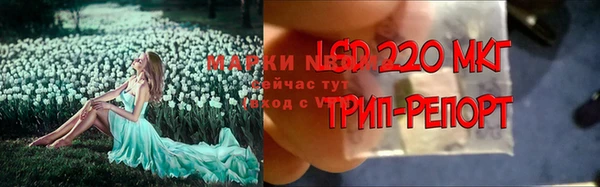 винт Пересвет