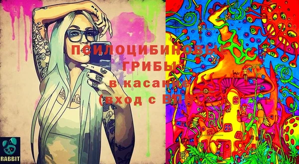 spice Пестово