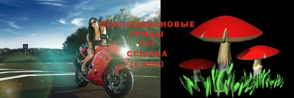 spice Пестово
