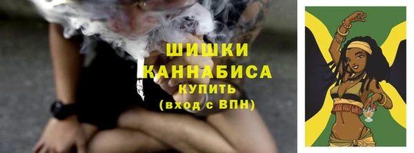 винт Пересвет