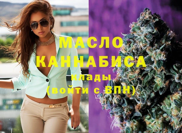винт Пересвет