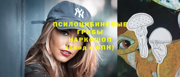 spice Пестово