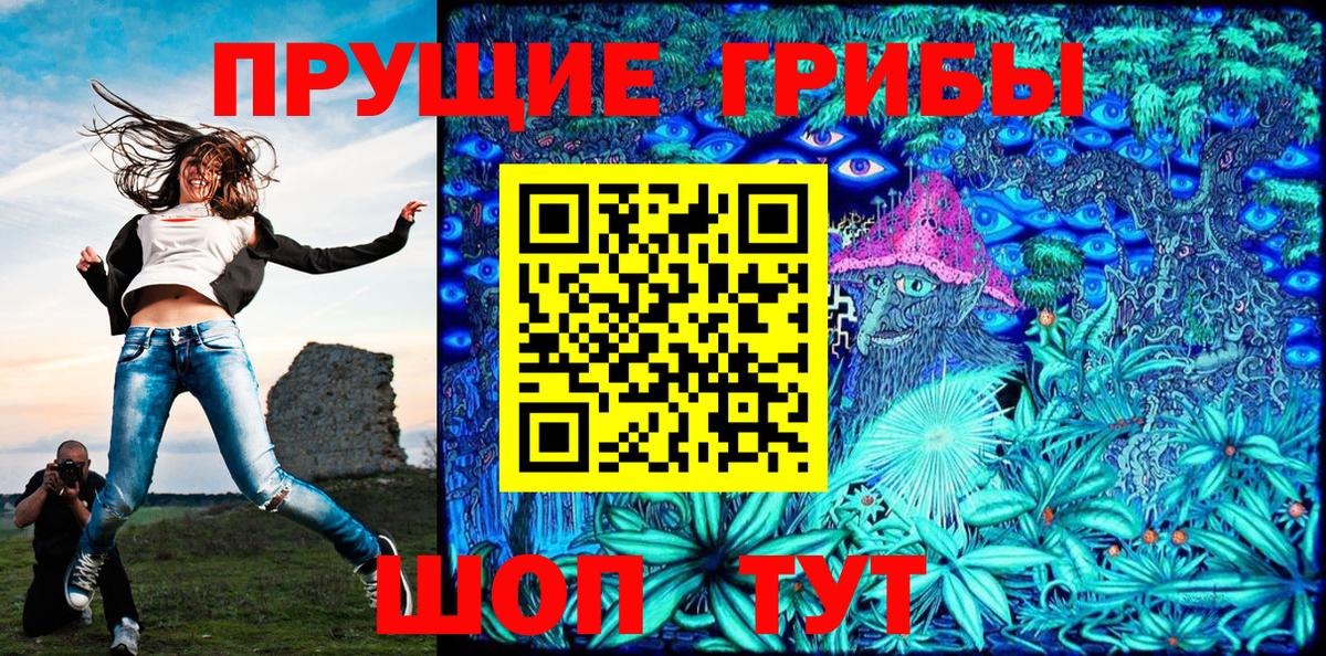 купить   Асбест  Галлюциногенные грибы Psilocybe 