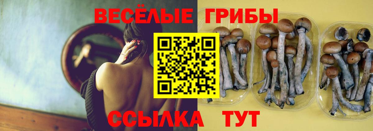 Псилоцибиновые грибы мухоморы  Вход с VPN  Асбест 